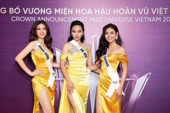 Vương miện 'Vinawoman' cho Hoa hậu Hoàn vũ Việt Nam 2022 đính hơn 2.000 viên kim cương  ảnh 5