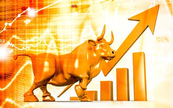Unprecedented surge of new accounts in stock market ảnh 1