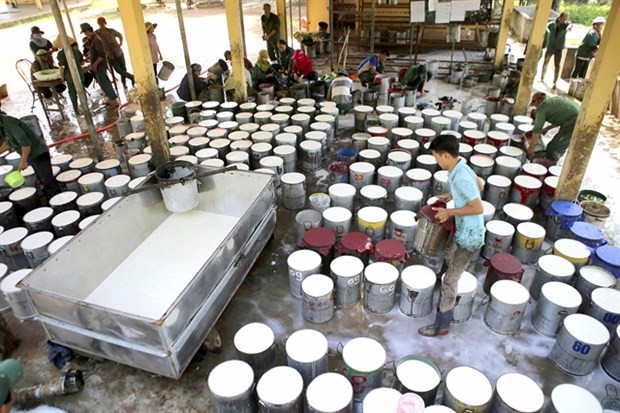 Rubber industry needs to develop production chain ảnh 1
