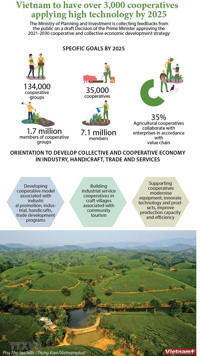 Vietnam to have over 3,000 cooperatives applying high technology by 2025 ảnh 1