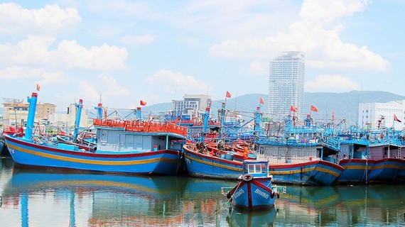 Fishing vessels to be closely controlled to end IUU ảnh 1