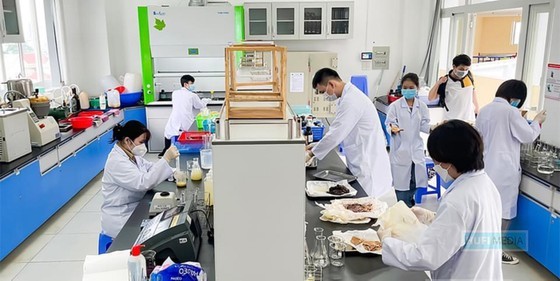 Schools try to help final-year students ảnh 1