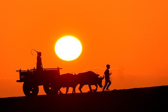 Vietnam’s beauty through lens of international photographers ảnh 1