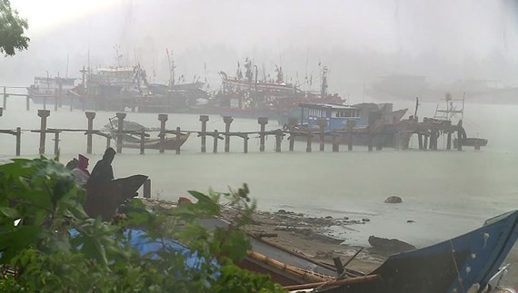 Tropical depression upgraded into storm ảnh 1