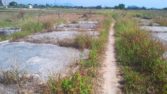 Ho Do salt field is deserted ảnh 1