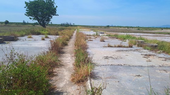 Ho Do salt field is deserted ảnh 3