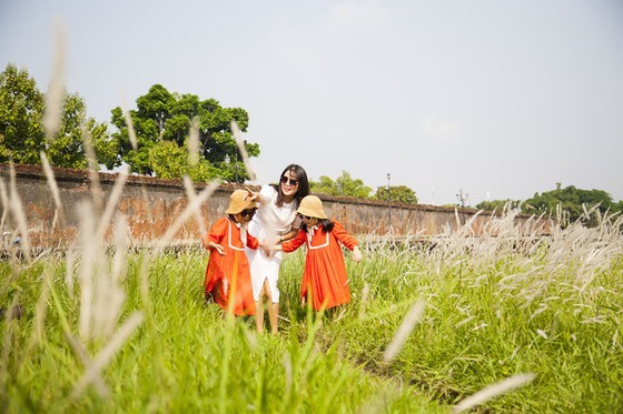 Cogon grasses blossom outside Forbidden Purple City in Hue Citadel ảnh 1