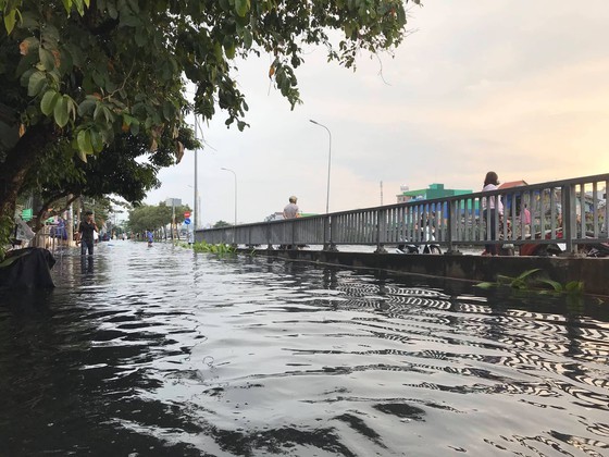 Nearly 200 people urgently overcome dike incident in district 8 ảnh 6