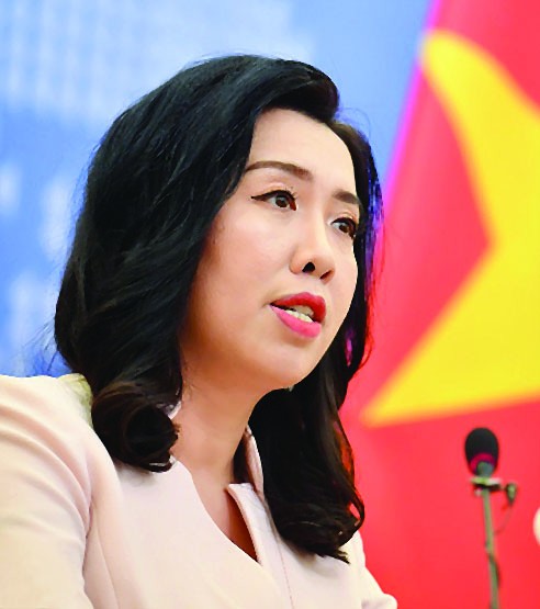 Confident Vietnam in 2020: FM spokeswoman ảnh 1