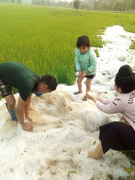 Hail, rain to continue in Northern mountainous region ảnh 1