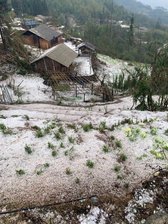 Hail reappears in Northern region ảnh 1