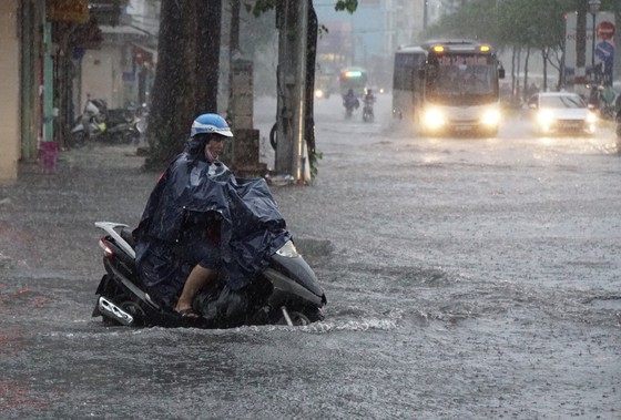 Low-pressure zone forms in middle of East Sea ảnh 1