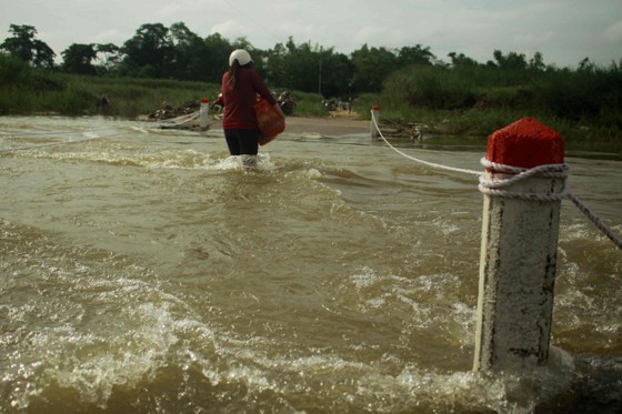 Binh Dinh, Quang Ngai promptly deal with storm Molave ảnh 1