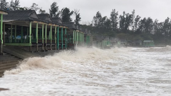 Vamco slams Quang Binh Province, some services paused ảnh 7
