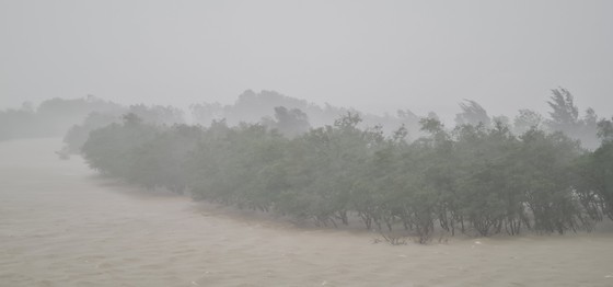 Vamco slams Quang Binh Province, some services paused ảnh 17