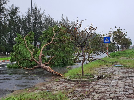 Vamco slams Quang Binh Province, some services paused ảnh 15