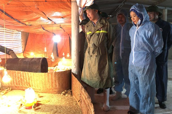 Residents in Central region begin to recover post-flood production activities ảnh 1