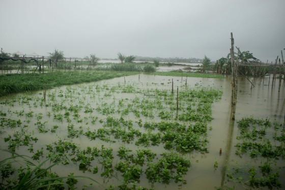 New landslides hit Quang Ngai, triggering emergency evacuation of people ảnh 2