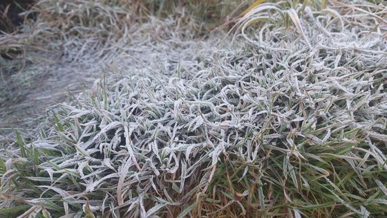 Beautiful landscape on Fansipan mountaintop covered in snow, ice ảnh 2