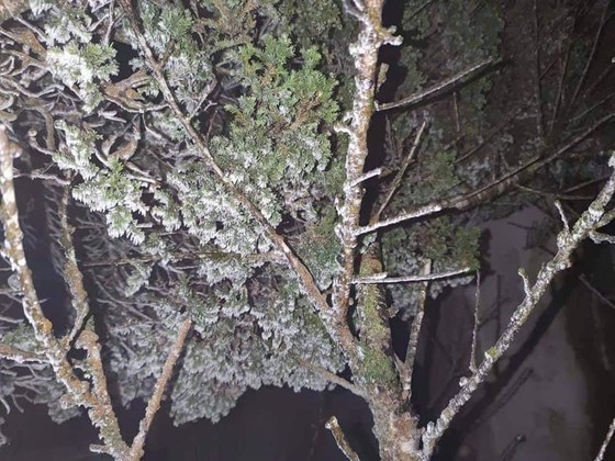 Mau Son mountain peak covered with snow, ice ảnh 7
