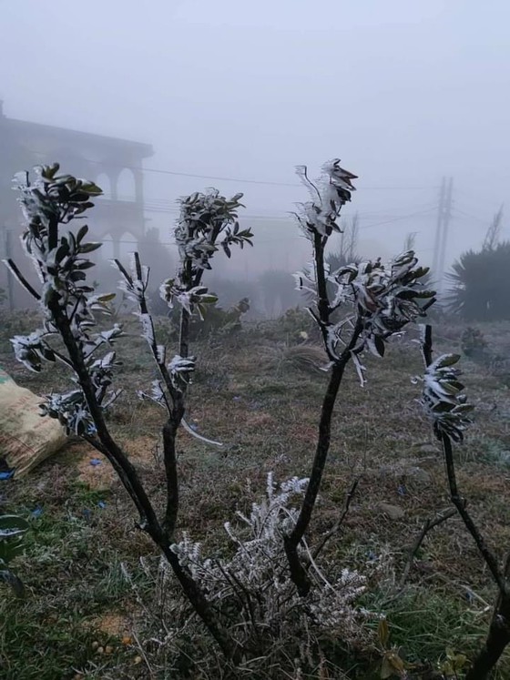 Mau Son mountain peak covered with snow, ice ảnh 4
