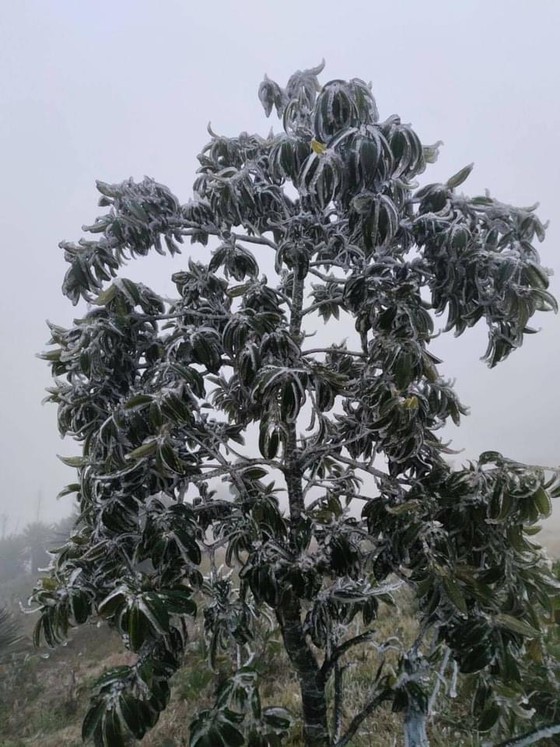 Mau Son mountain peak covered with snow, ice ảnh 6