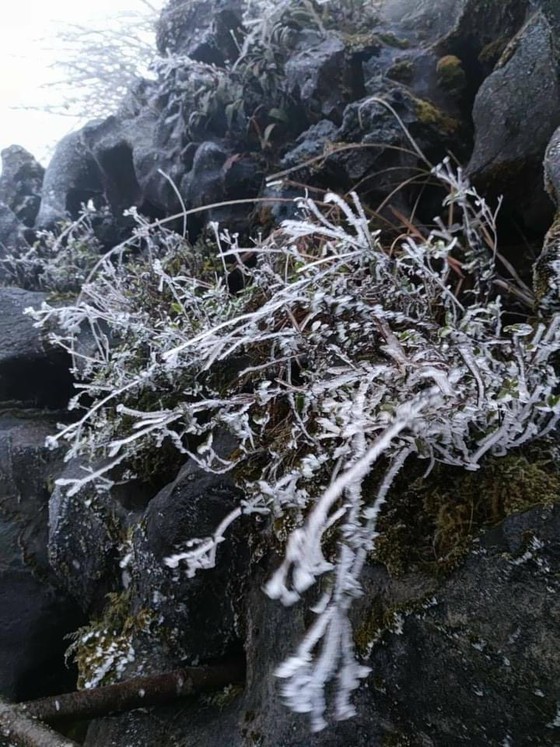 Mau Son mountain peak covered with snow, ice ảnh 3