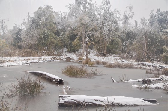 North, Central Vietnam continue facing extra freezing cold in January ảnh 1