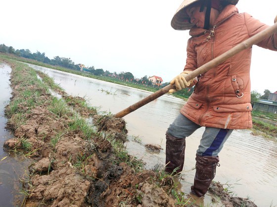 Northern people contrive to live under current gelid cold ảnh 1