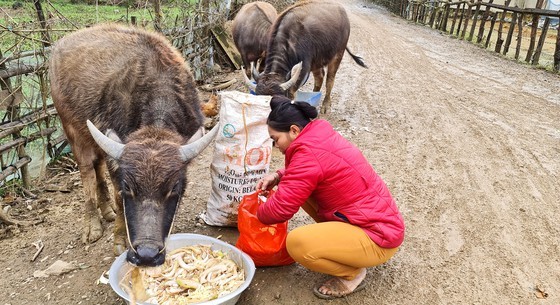 Northern people contrive to live under current gelid cold ảnh 3