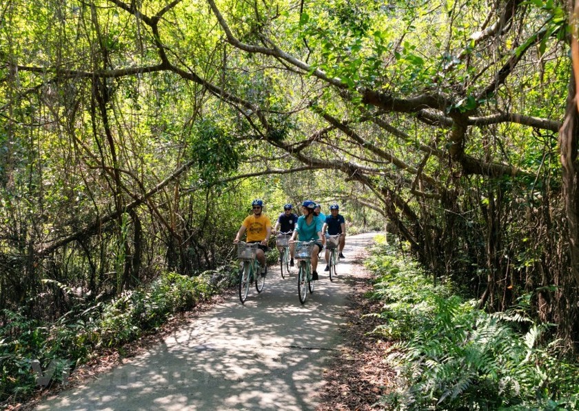 Can’t-miss spots for Cat Ba sightseeing tour ảnh 7