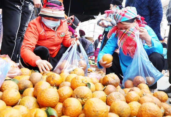 Meo Vac ethnic market becomes must-visit place in Ha Giang ảnh 4
