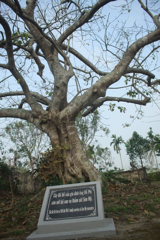 Quang Ngai Province celebrates 53 years of Son My massacre ảnh 7