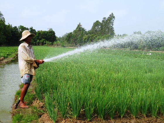 Saltwater intrusion in Mekong Delta to increase again in Mid-April ảnh 1