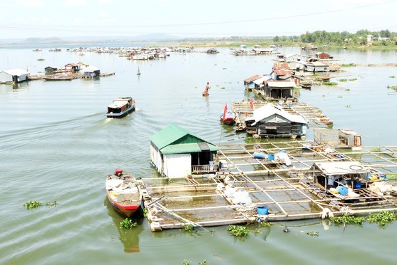 Tri An Lake faces pollution challenge ảnh 1