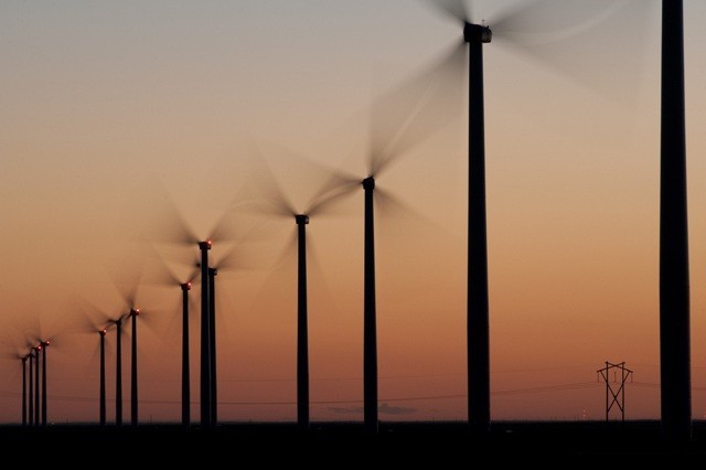 WWF assists Vietnam on renewable energy development ảnh 1