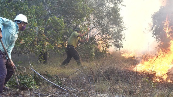 Central region attempts on forest protection from wildfire risk ảnh 1