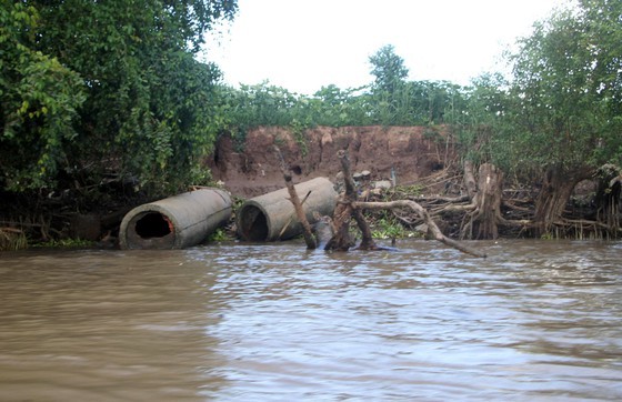 Soc Trang declares emergency landslide situation in Hau River’s islets ảnh 1