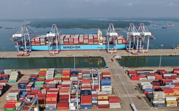 Dredging project of Cai Mep-Thi Vai fairway proposed to soon start ảnh 1
