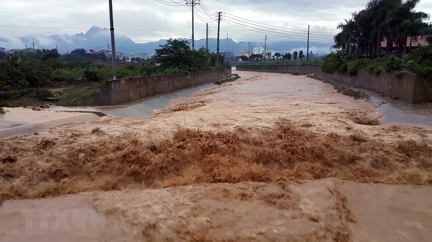 Storm Koguma forecast to downgrade into tropical depression ảnh 1