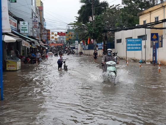 Mekong Delta able to reach levels 1-2 flood peak in 2021 ảnh 1