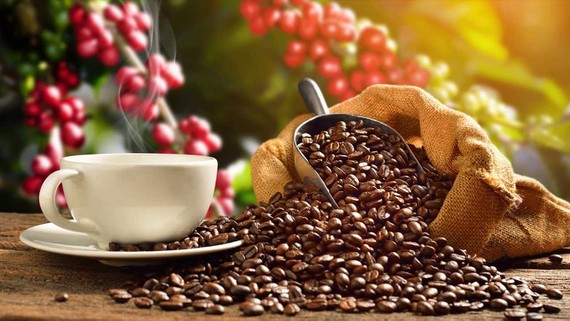 World Needs More Coffee But Don’t Look to Vietnam for Help ảnh 1
