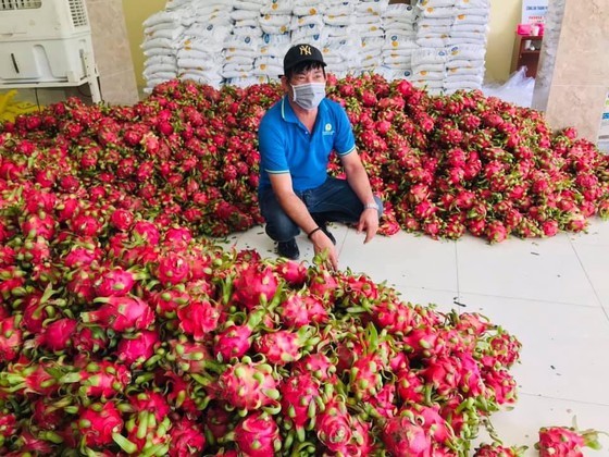 Eggs, dragon fruits, rice, chicken transported to rental houses in HCMC ảnh 2