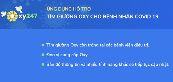 HCMC launches app Oxy 247 to help Covid-19 infections ảnh 1