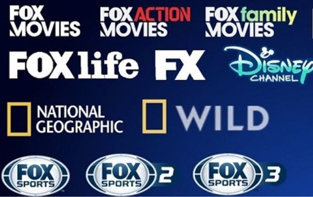 Fourteen foreign TV channels to end broadcast in Vietnam ảnh 1
