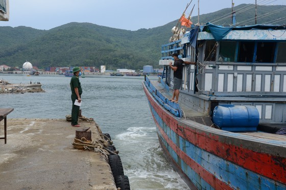 Localities urged to deal with upcoming tropical storm ảnh 2