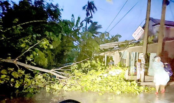 Storm Dianmu downgrades to low-pressure zone as of September 24 morning ảnh 2