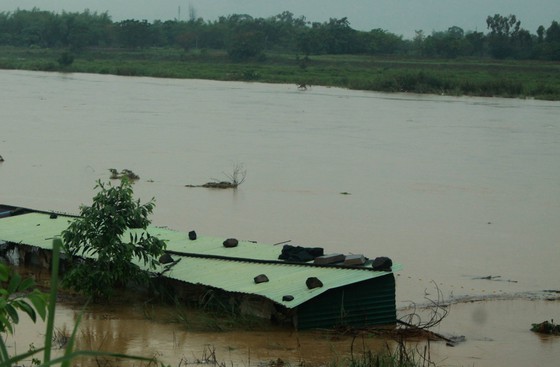 Central localities strengthen flood prevention operations ảnh 1