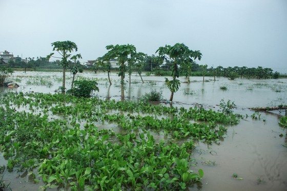 Central localities strengthen flood prevention operations ảnh 8