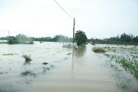 Central localities strengthen flood prevention operations ảnh 7